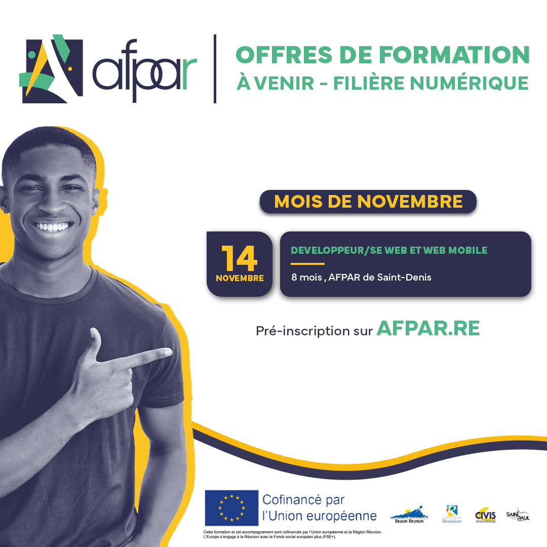 Formation développeur web web mobile afpar reunion
