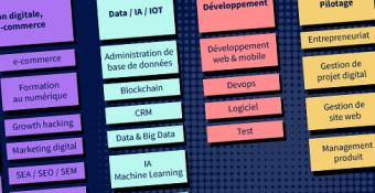 carto des métiers numériques