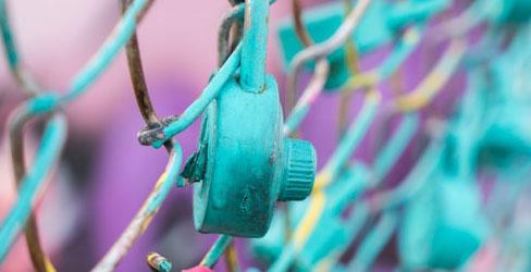 Données personnelles