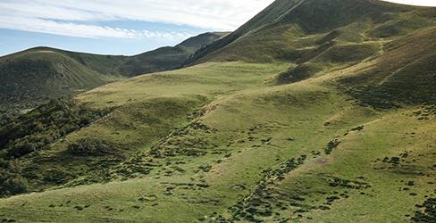 Observatoires régionaux GEN_SCAN : la Région Auvergne- Rhône-Alpes