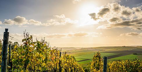 Observatoires régionaux GEN_SCAN : la Région Bourgogne Franche-Comté