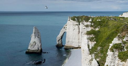 Observatoires régionaux GEN_SCAN : la Région Normandie