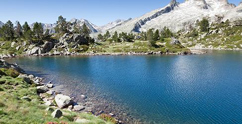 Observatoires régionaux GEN_SCAN : la Région Occitanie