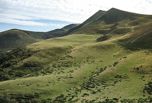 Observatoires régionaux GEN_SCAN : la Région Auvergne- Rhône-Alpes