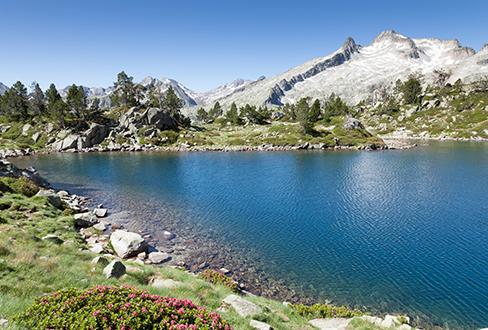 Observatoires régionaux GEN_SCAN : la Région Occitanie