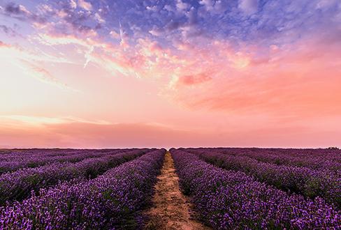 Observatoires régionaux GEN_SCAN : la Région Provence-Alpes-Côte d'Azur