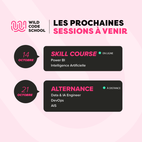 formation wild code school octobre